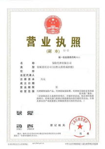 保险代理公司业务范围与经营指南